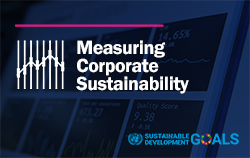 First Results From New UNRISD Research on Measuring Corporate Sustainability Performance