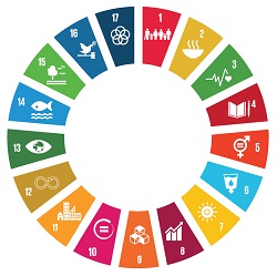 UNRISD Expertise to Strengthen UN Capacity on SDGs at Country Level